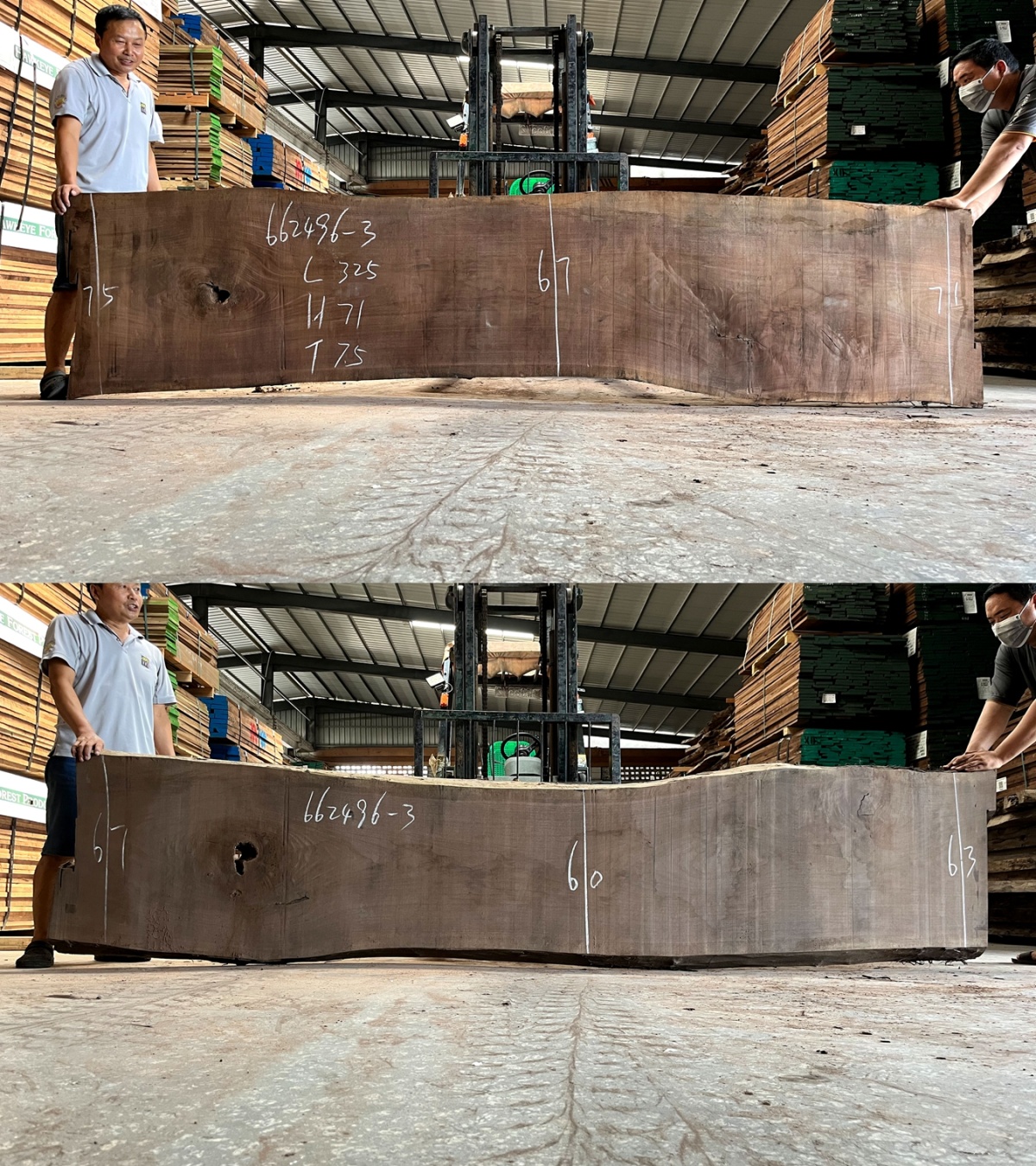 662496-3.jpg